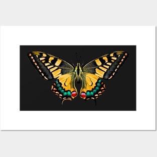 Special Colourful Butterfly | Entomology Lover Posters and Art